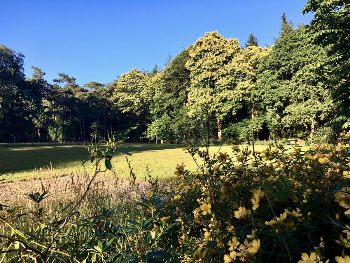 B&B En Boshuis Darthuizerpoort Leersum Bagian luar foto